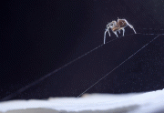 621A0188-92_1.gif