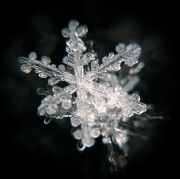 snowflake.JPG